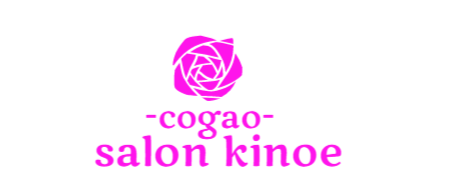 kinoelogo2