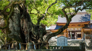 【愛媛県】2025年巳年の今年お参りしたい弁財天様や蛇神様・金運アップの神社やパワースポット一覧│神社名・アクセス・ご利益・注意点・御守り