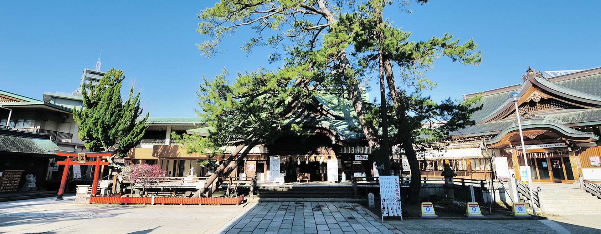 【新潟県】2025年巳年の今年お参りしたい巳や蛇神様・弁財天様に関係する神社一覧│神社名・アクセス・ご利益・注意点