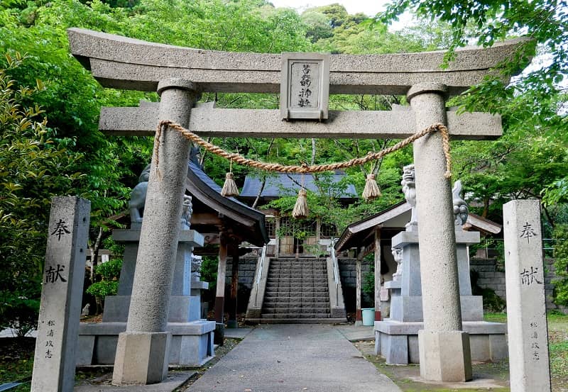 【高知県】2025年巳年の今年お参りしたい弁財天様や蛇神様・金運アップの神社やパワースポット一覧│神社名・アクセス・ご利益・注意点・御守り