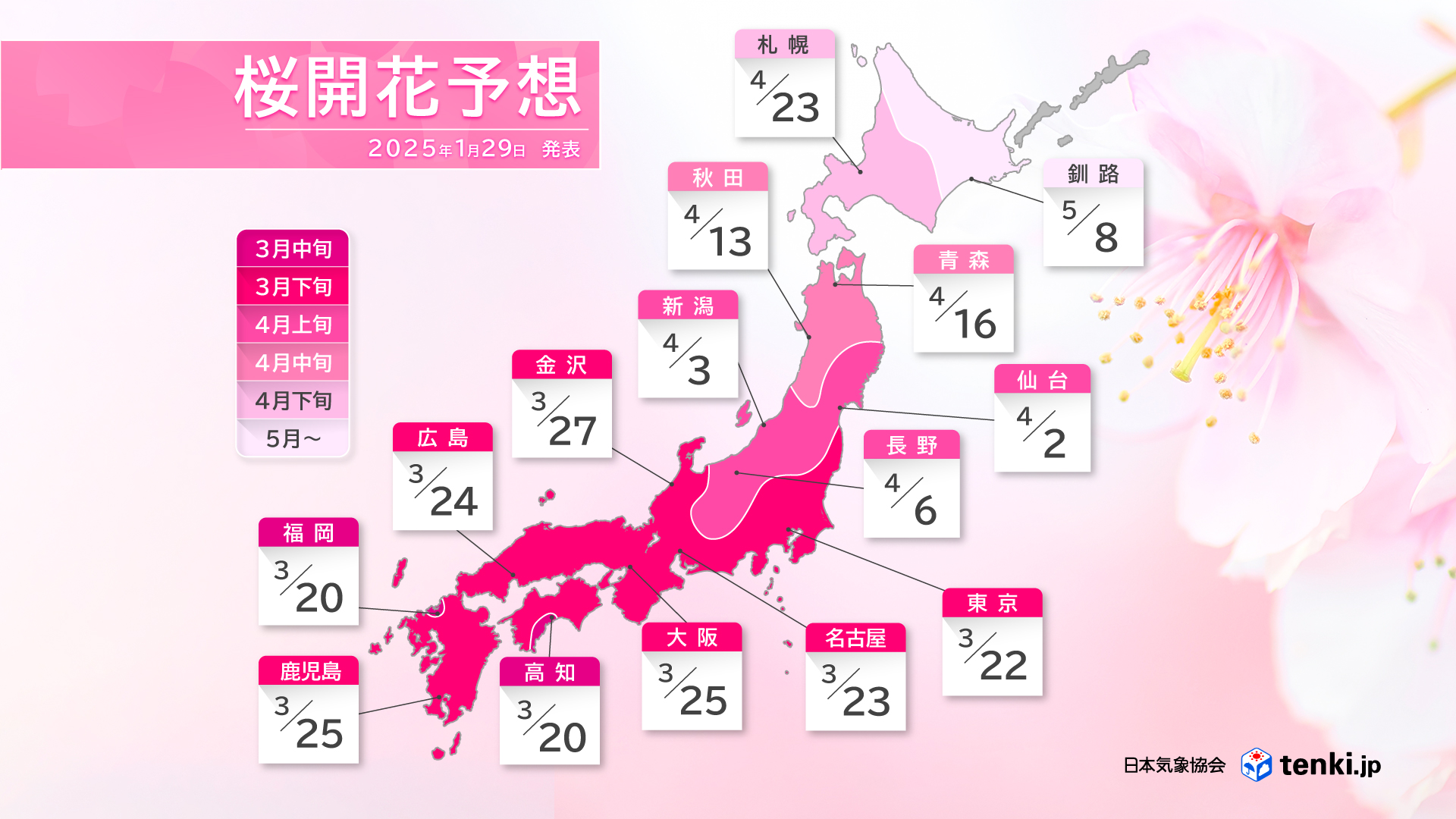 【2025年最新】全国の地域別桜開花予想情報と地域ごとの桜の名所をまとめました