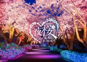 3月20日から！よみうりランド「夜桜ジュエルミネーション2025」でさくら色ライトアップの新観覧車やライトアップ桜並木などに注目！