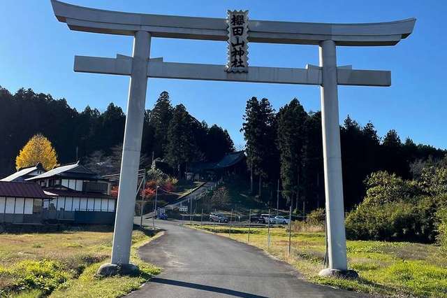 お笑い芸人・狩野英孝の実家「櫻田山神社」について│御祭神・御朱印・御守りや2025年の桜開花予想と桜の名所について【60年に一度の巳年】