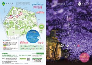 【名古屋市】鶴舞公園桜まつり2025完全ガイド！屋台グルメから夜桜ライトアップやイベント情報まとめ│4月6日まで開催しています