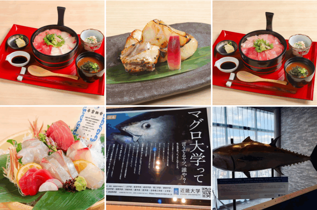 【大阪・関西万博】近畿大学水産研究所(大阪関西万博ウォータープラザ店)完全ガイド│グルメメニューや場所・混雑状況と見どころ口コミなどをご紹介！