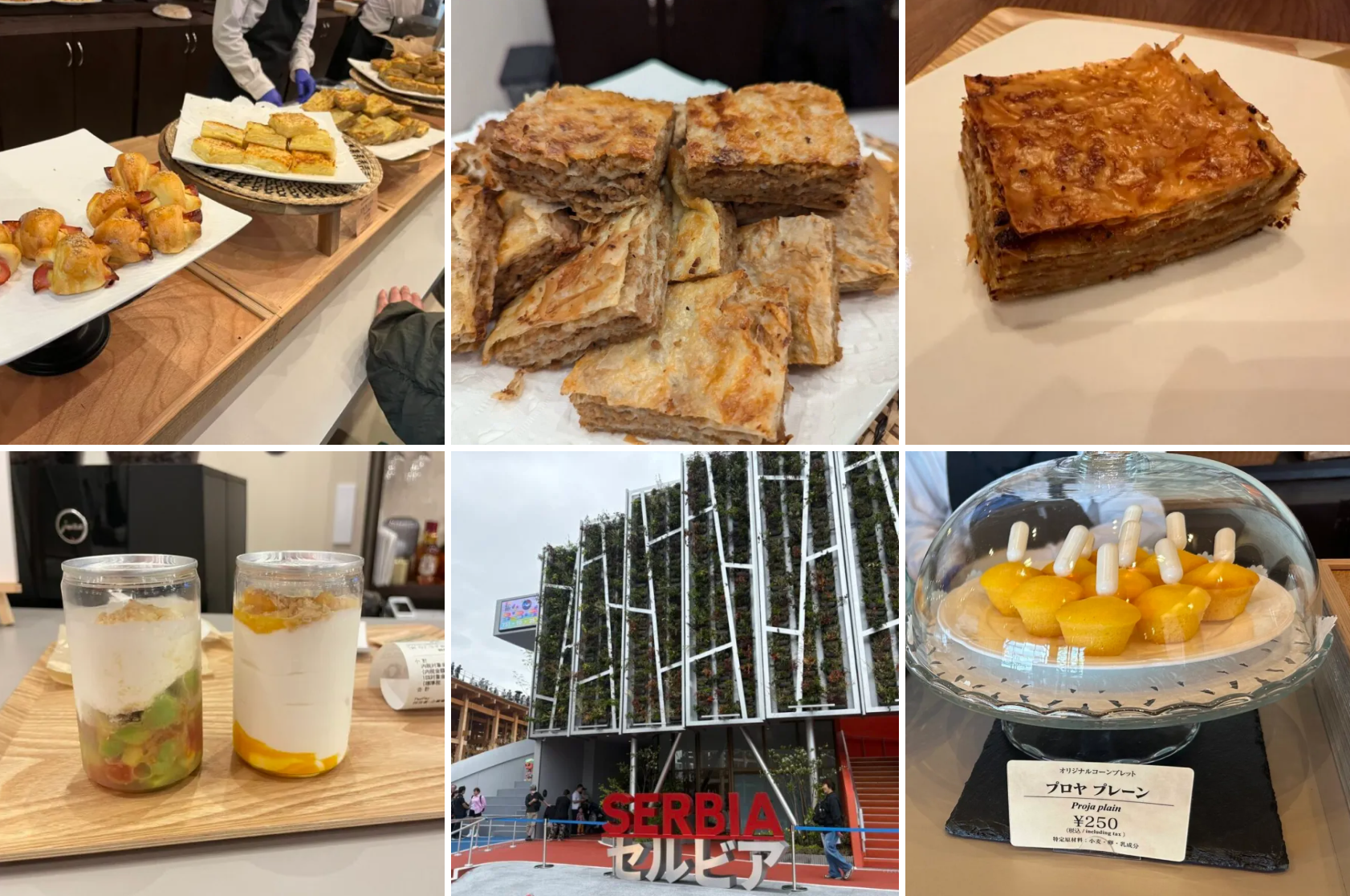 【大阪・関西万博】セルビアパビリオンレストラン実食！完全ガイド│メニュー一覧や予約、口コミ情報、そして大人気ミートパイ情報をご紹介！