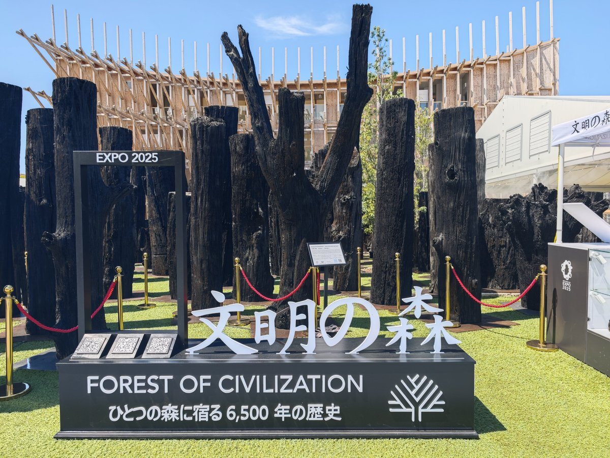 【大阪・関西万博】「文明の森」が7/20からついに「入場可能」に！場所・みどころ・スタンプとQRコードから届く特別メッセージまで完全ガイド！