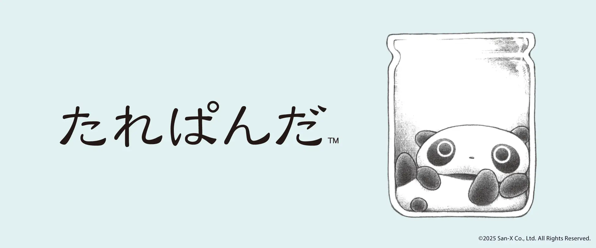 【たれぱんだ】10月10日申し込み受付開始！サプライズボックス(福袋)2026が発売決定！予約情報ネタバレまとめ│内容や予約期間・人気の理由にネットでの反響、おすすめポイントなど徹底解説！