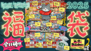 【ヴィレヴァン福袋2026年】ヴィレッジヴァンガードの予約＆事前抽選のネタバレ最新情報完全ガイド│今年はいつから？25年福袋から分析！中身や価格やおすすめ、人気の理由など徹底解説